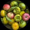 floatingfruits